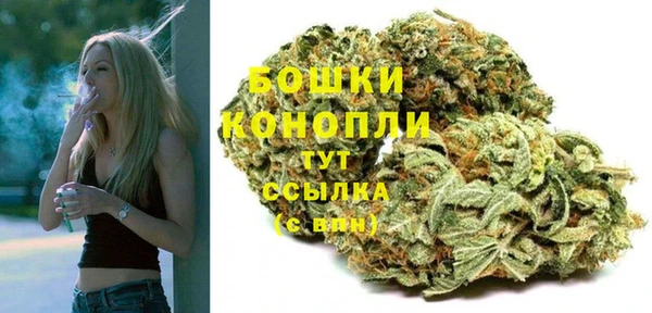 гидра Краснослободск