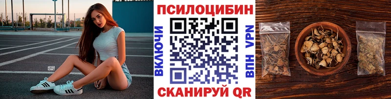 Псилоцибиновые грибы мицелий  Томмот 